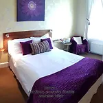 The Paragon - Guest Vendégház 4*